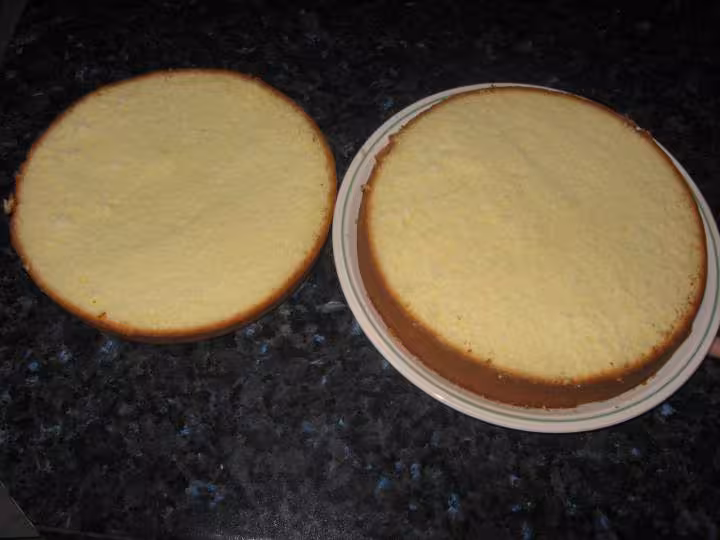 Gateaux de savoie