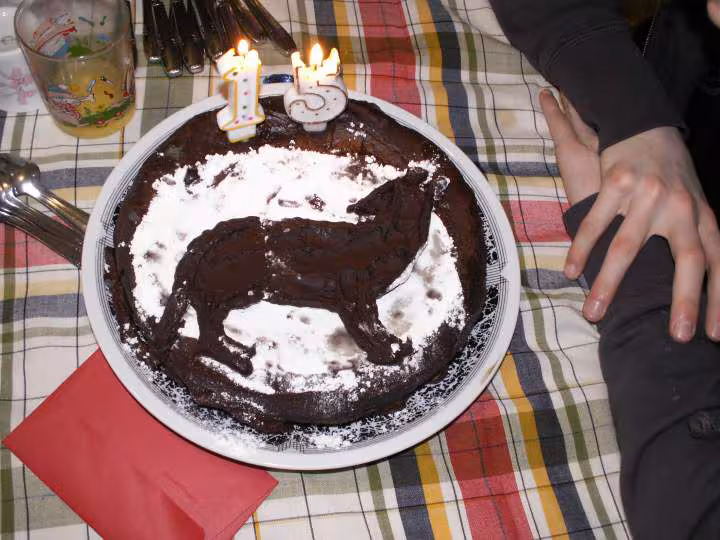 Gateau des 15 ans de romain