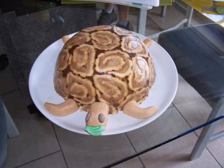 La tortue