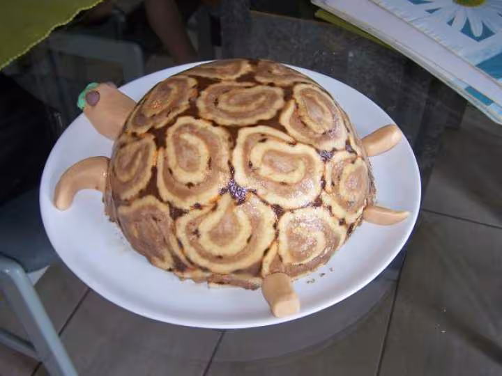 La tortue de dos