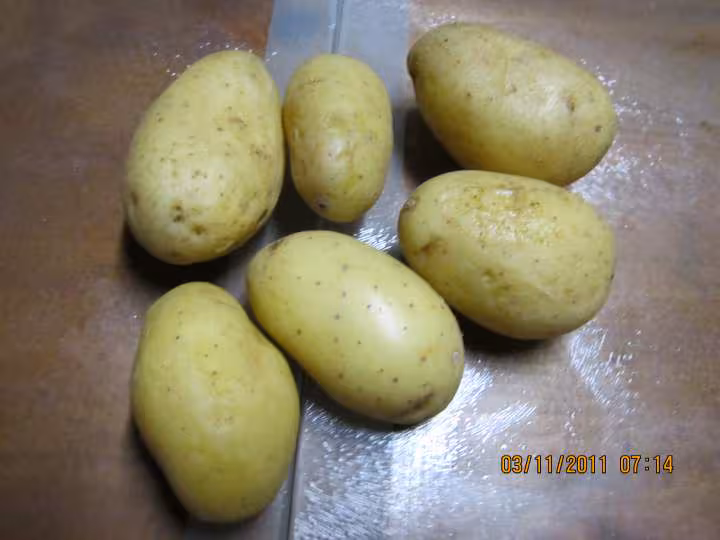 Aiguillettes de poulet a la sauce madere