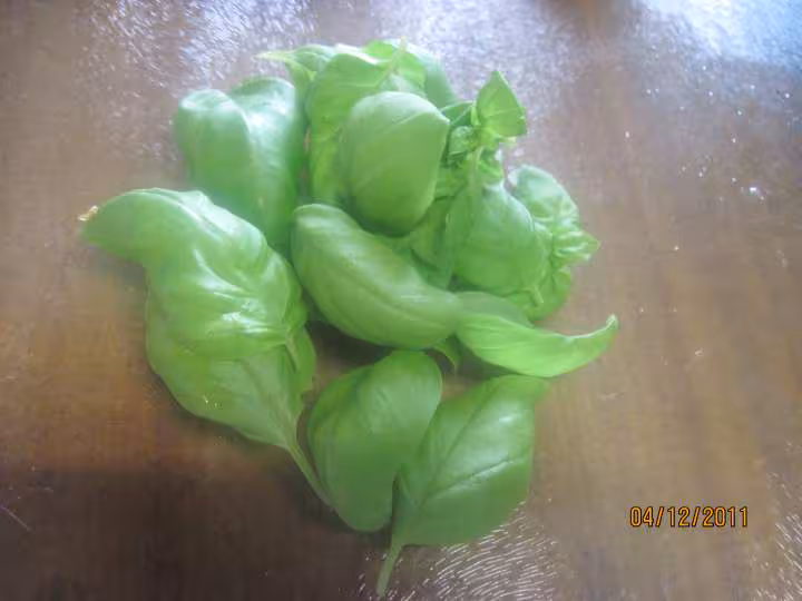 Aiguillettes de poulet a la sauce tomate basilic
