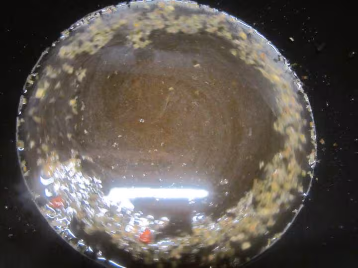 Anchois crevettes legumes oeuf en geles
