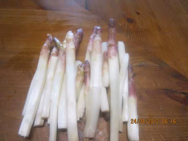 Asperges blanches a la creme fraiche gratinees