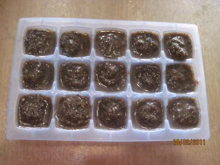 Avec des restes de soupes photo