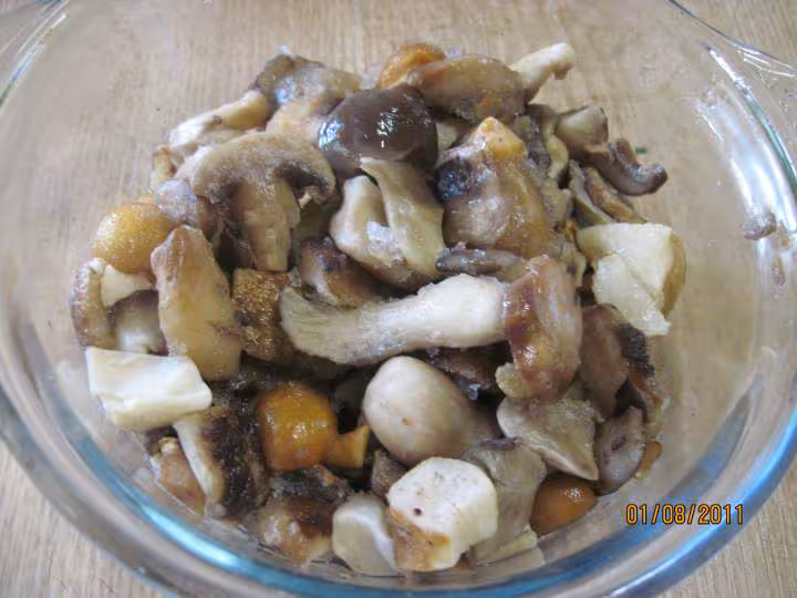 Blancs de poulet aux cocktail de champignons