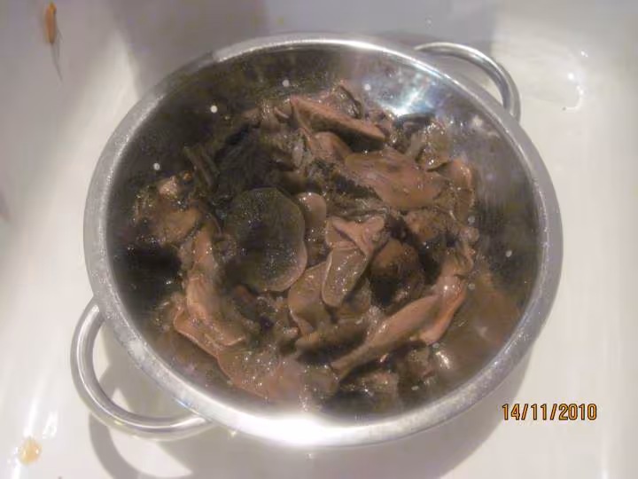 Blanquette de dinde au pleurotes