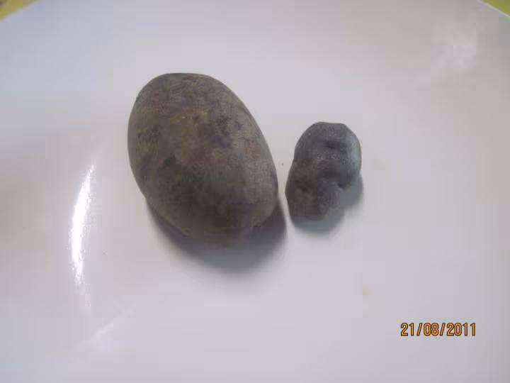 Bleue d auvergne et vitelotte