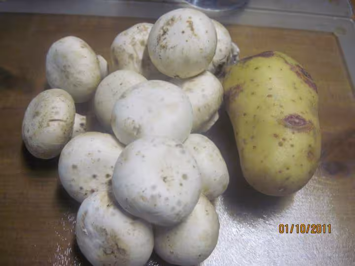 Boeuf bouilli carottes oignon p de terre oignons