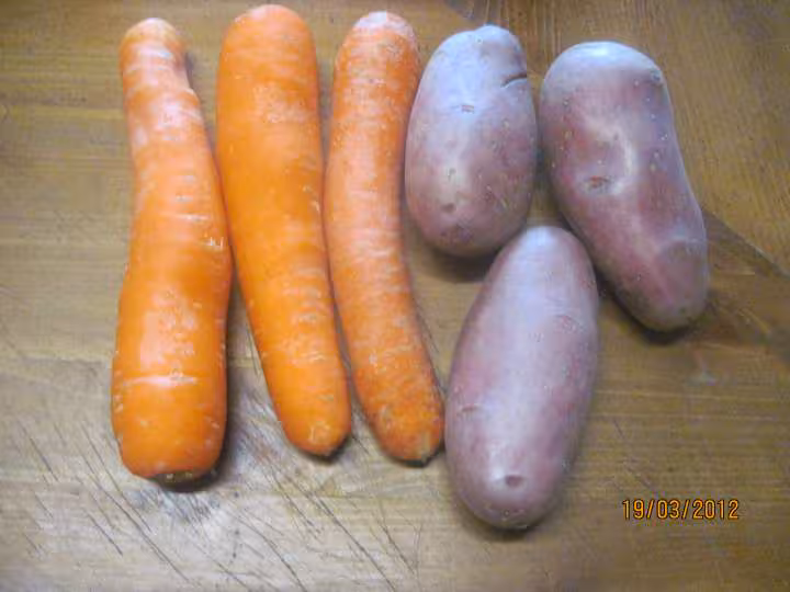 Boeuf mode et carottes et p de terre vin rouge