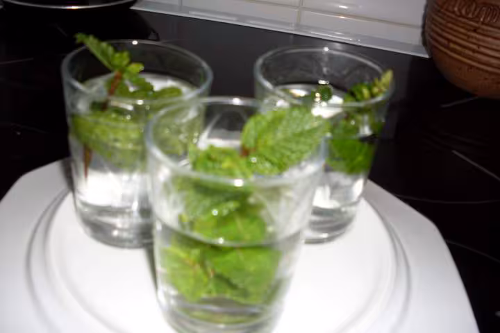 Boisson fraiche a la menthe