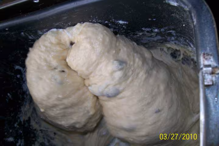 Brioche aux raisincs secs