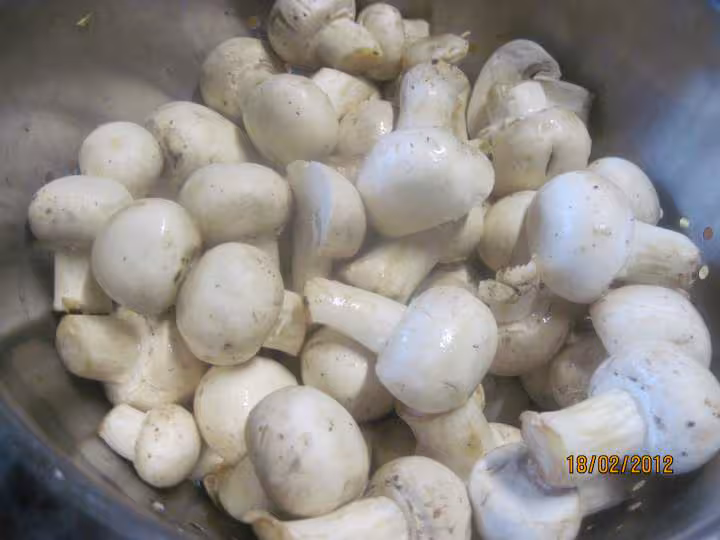 Champignons au vin blanc