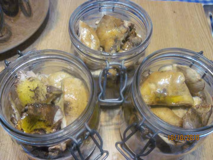 Champignons des pres sterilises