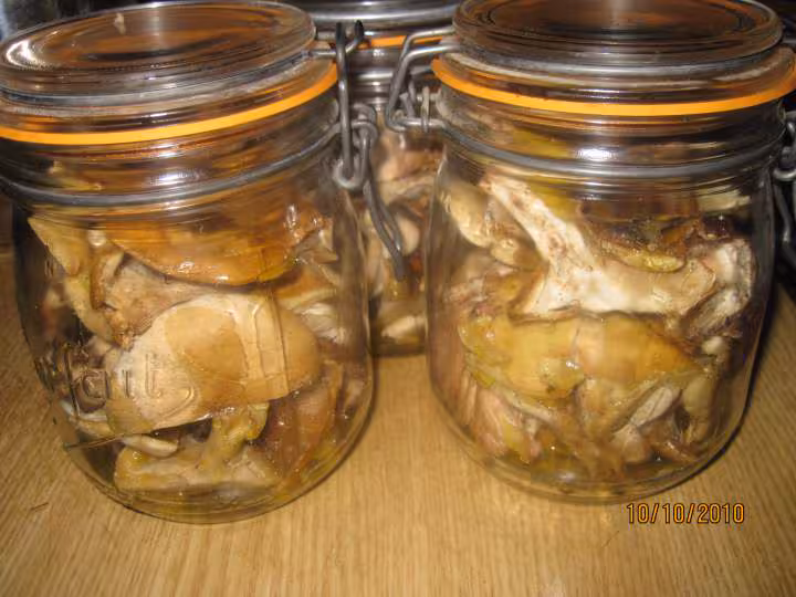 Champignons des pres sterilises