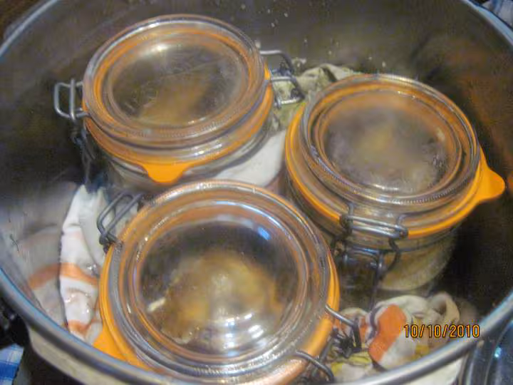 Champignons des pres sterilises