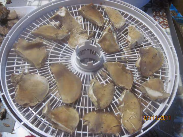 Champignons deshydratateur