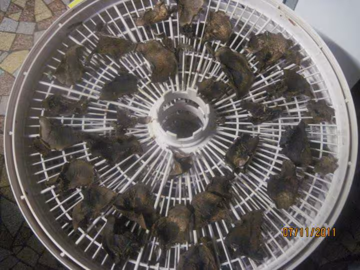 Champignons deshydratateur
