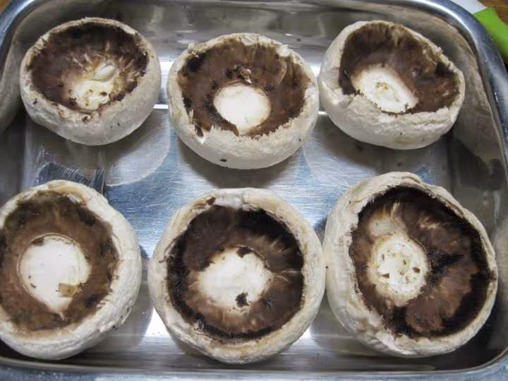 Champignons farcis et basilic rouge