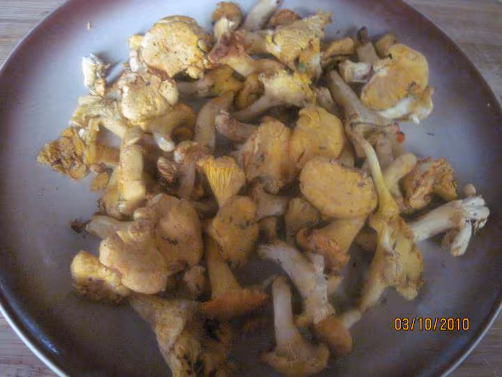 Champignons girofle au spaghettis aux pesto