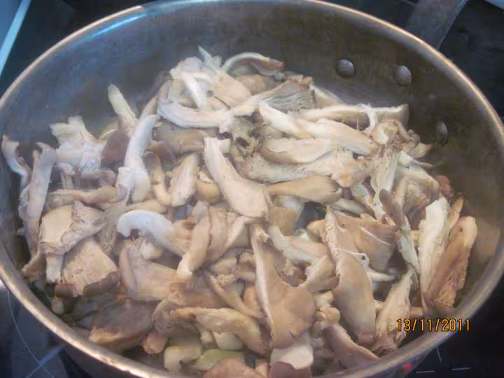 Champignons pleurote a la creme persillade