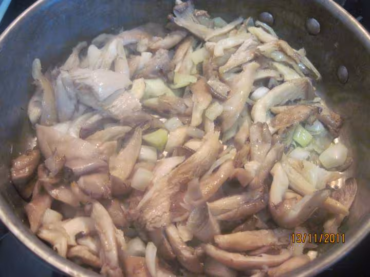 Champignons pleurote a la creme persillade