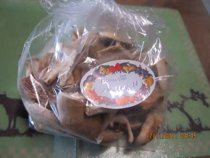 Champignons pleurotes congeles
