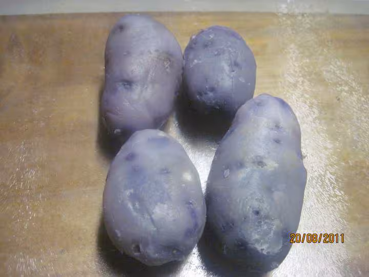 Chorizo aux pommes de terre d auvergne