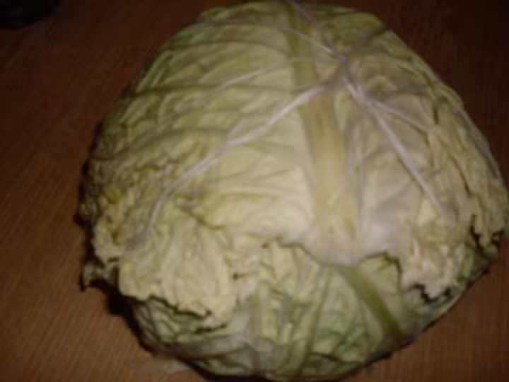 Chou farci