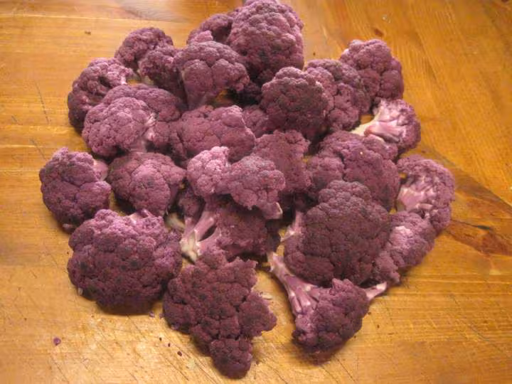 Chou fleurs violet gratine