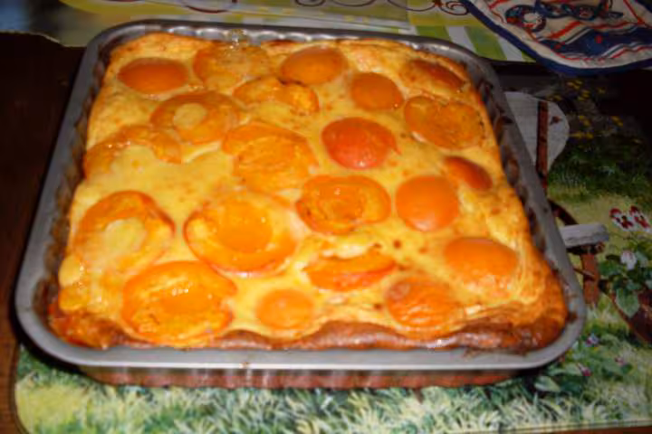 Clafoutis aux abricots amp chantilly photos