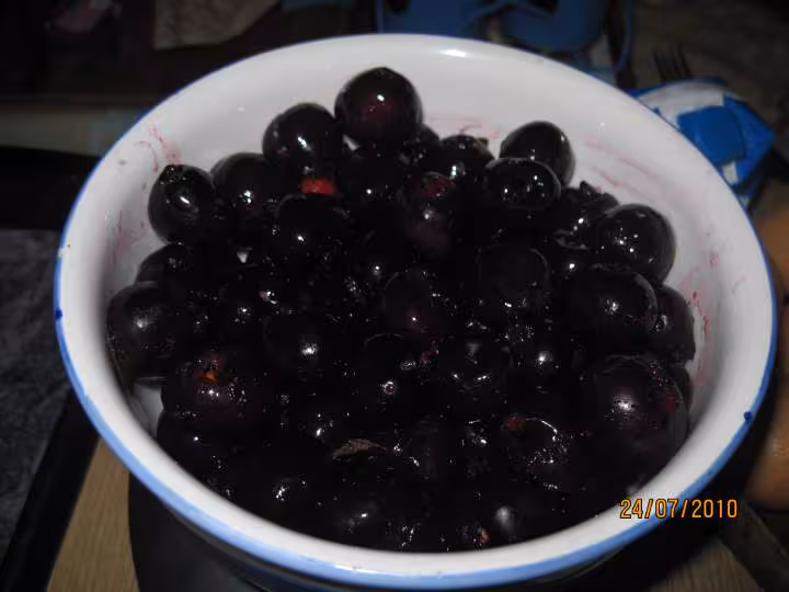 Clafoutis aux cerises noires