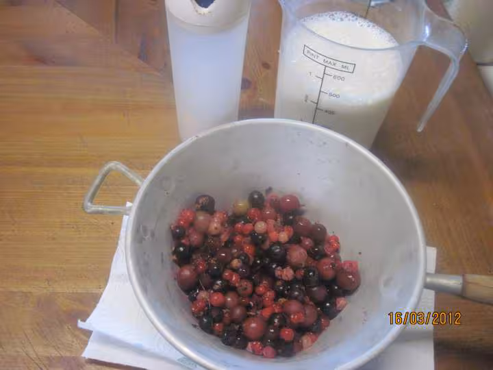 Clafoutis aux fruits rouges