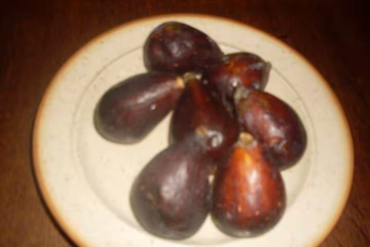 Clafoutis aux petites figues violettes fraiche