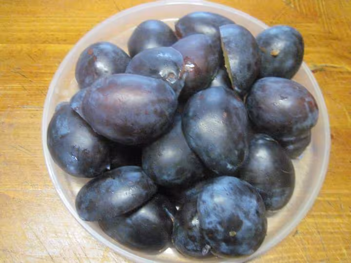Clafoutis aux prunes quetsches