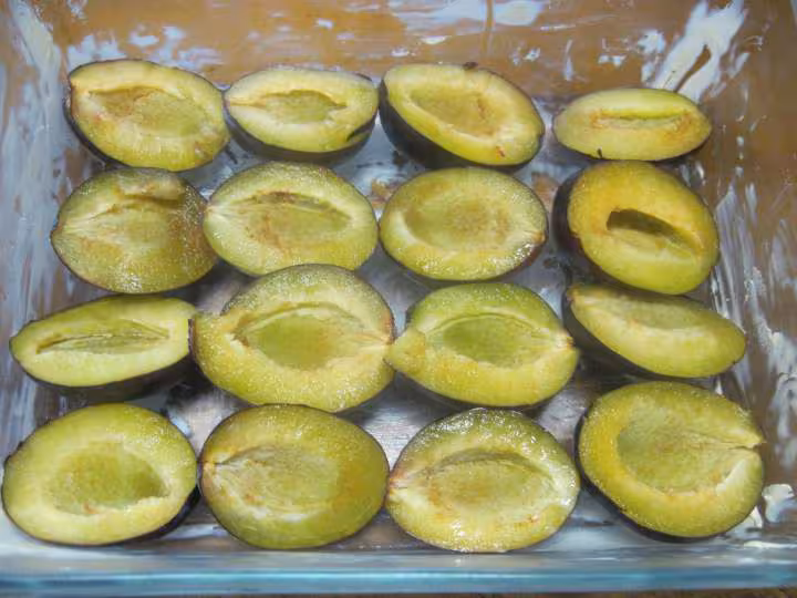 Clafoutis aux prunes quetsches