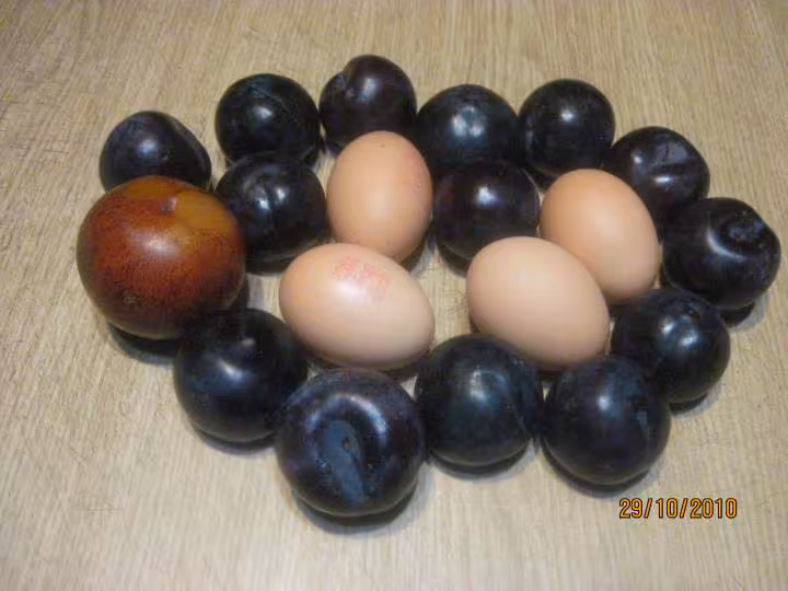 Clafoutis aux prunes rouges