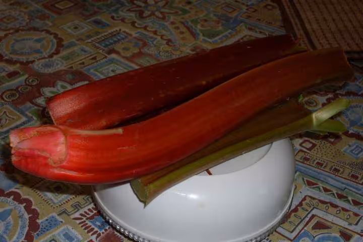 Clafoutis de rhubarbe rouge
