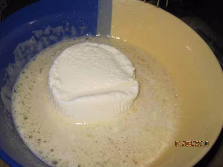 Clafoutis fromage de brousse et aux abricots