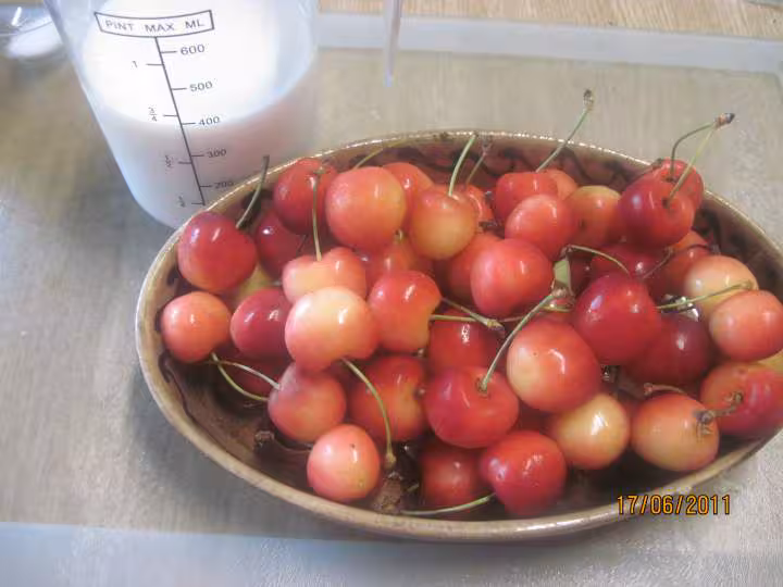Clafoutis renverse aux cerises coeur de pigeon