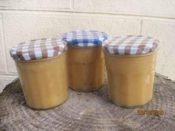 Compote de coings et pommes