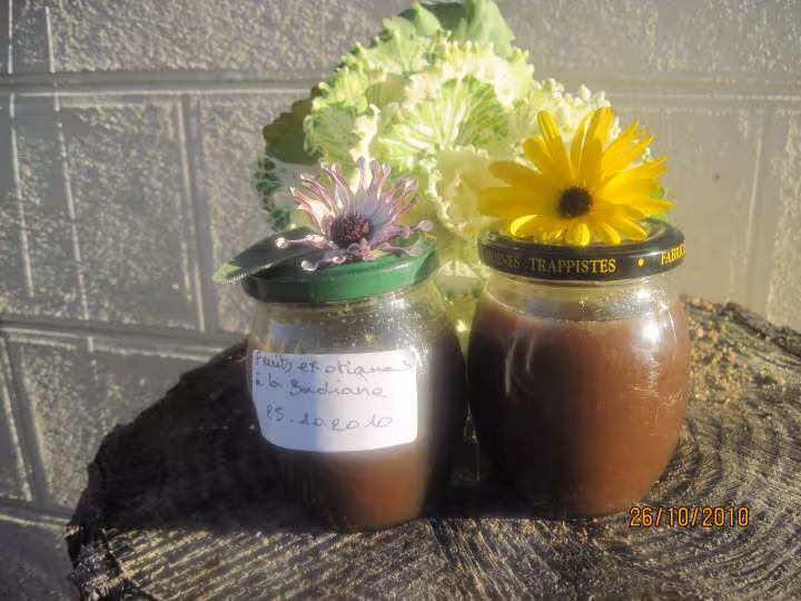 Confiture aux fruits exotiques aux etoiles de badiane
