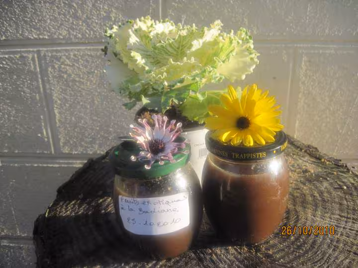 Confiture aux fruits exotiques aux etoiles de badiane