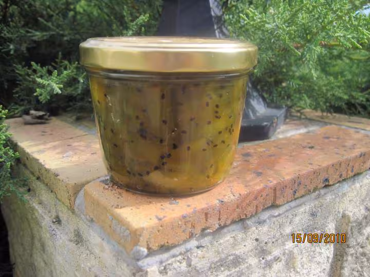 Confiture d angelique aux kiwis
