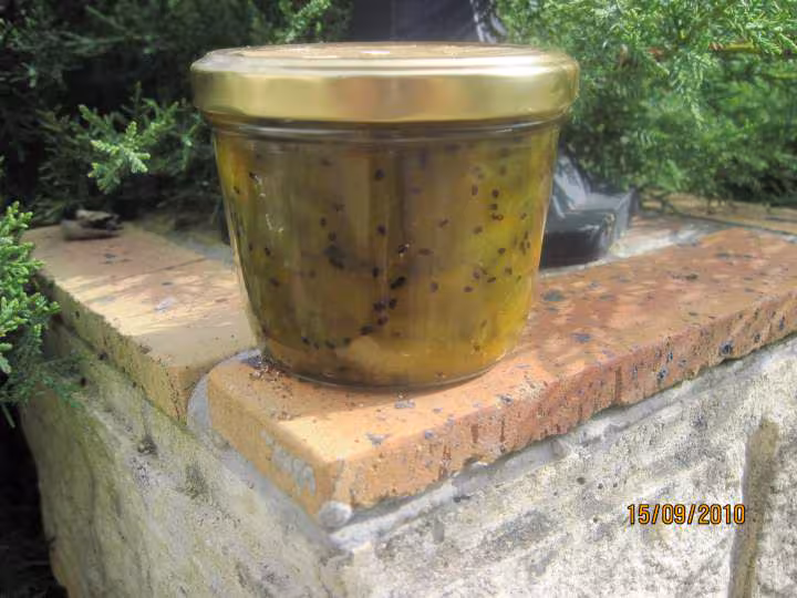Confiture d angelique aux kiwis