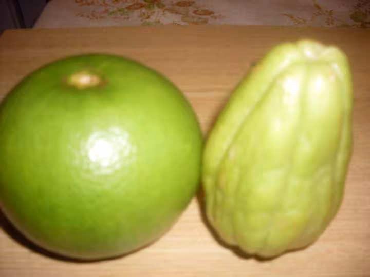 Confiture de chouchous pamplemousses verts