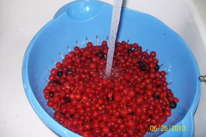 Confiture de groseilles