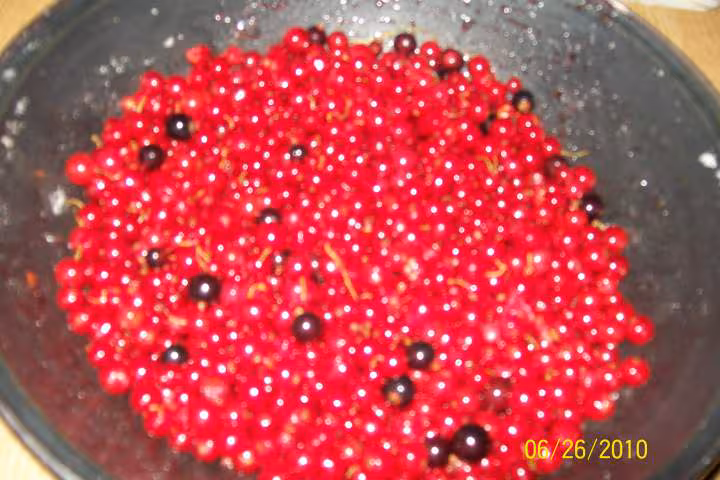 Confiture de groseilles