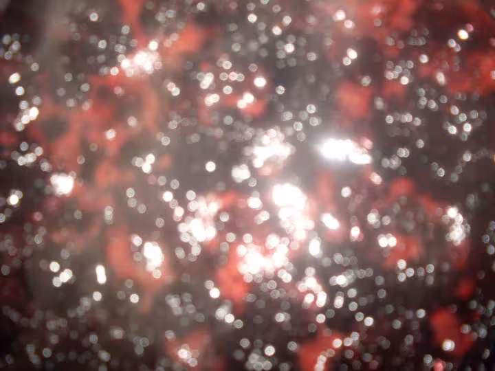 Confiture de mirtylles