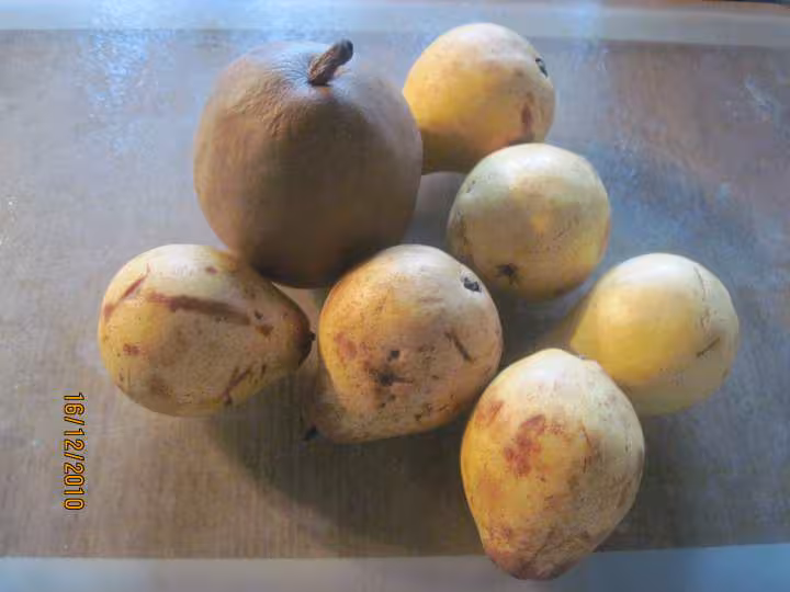 Confiture de poires au sucre roux